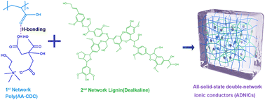 Graphical abstract: A mechanically strong and self-adhesive all-solid-state ionic conductor based on the double-network strategy