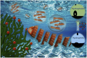 Graphical abstract: Modification of Ti3C2Tx MXene with hyperbranched polyethylene ionomers: stable dispersions in nonpolar/low-polarity organic solvents, oxidation protection, and potential application in supercapacitors