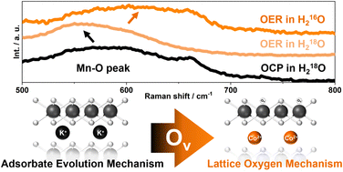Graphical abstract: Participation of the unstable lattice oxygen of cation-exchanged δ-MnO2 in the water oxidation reaction
