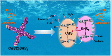 Graphical abstract: A novel 1D/2D core/shell CdS@SnS2 heterostructure for efficient piezocatalytic hydrogen evolution and pollutant degradation