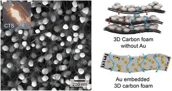 Graphical abstract: Highly loaded gold (Au) nanoseeds with uniform distribution on 3D carbon foam for long-cycle lithium-metal batteries