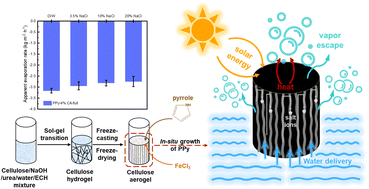 Graphical abstract: Wood-inspired polypyrrole/cellulose aerogels with vertically aligned channels prepared by facile freeze-casting for efficient interfacial solar evaporation