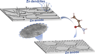 Graphical abstract: Achieving a dendrite-free Zn anode at high current densities via in situ polymeric interface design