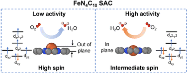 Graphical abstract: Spin-dependent active centers in Fe–N–C oxygen reduction catalysts revealed by constant-potential density functional theory