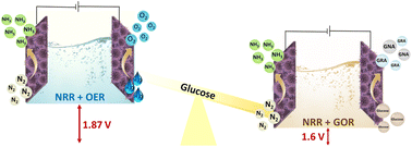 Graphical abstract: Glucose oxidation assisted ammonia production via electrochemical dinitrogen reduction over CoWO4