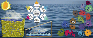 Graphical abstract: Advanced nanostructured materials in solar interfacial steam generation and desalination against pathogens: combatting microbial-contaminants in water – a critical review