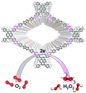 Graphical abstract: Charge redistribution in covalent organic frameworks via linkage conversion enables enhanced selective reduction of oxygen to H2O2