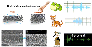 Graphical abstract: Presenting the shape of sound through a dual-mode strain/tactile sensor