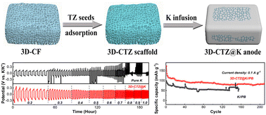 Graphical abstract: Design of a potassiophilic 3D conductive scaffold potassium anode (3D-CTZ@K) with dendrite-free and high energy-power density in potassium metal batteries
