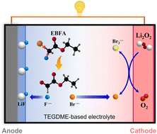 Graphical abstract: An ethyl bromofluoroacetate redox mediator enables a robust LiF-rich solid electrolyte interphase for advanced lithium–oxygen batteries