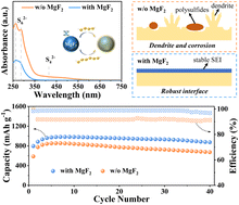 Graphical abstract: Regulation of polysulfide adsorption and LiF-rich interface chemistry to achieve high-performance PEO-based lithium–sulfur batteries