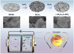 Graphical abstract: Amorphous/crystalline heterostructure design enables highly efficient adsorption–diffusion–conversion of polysulfides for lithium–sulfur batteries