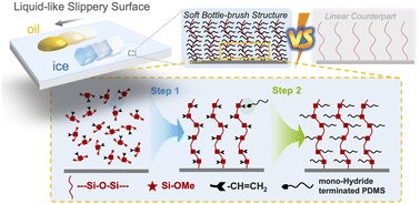 Graphical abstract: A fluffy all-siloxane bottlebrush architecture for liquid-like slippery surfaces