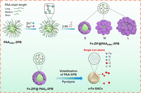 Graphical abstract: Facile synthesis of single-atom electrocatalysts with tailored carbon architectures via a polyelectrolyte brush-templated-growth approach