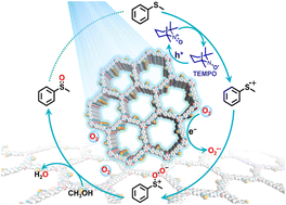 Graphical abstract: The synergy between a benzoselenadiazole covalent organic framework and TEMPO for selective photocatalytic aerobic oxidation of organic sulfides