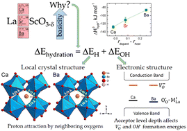 Graphical abstract: Dopant-induced changes of local structures for adjusting the hydration ability of proton-conducting lanthanum scandates