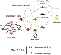 Graphical abstract: Revealing insights into the axial coordination effect of M–N4 catalysts on electrocatalytic activity towards the oxygen reduction reaction
