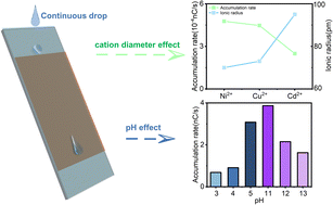Graphical abstract: Charge accumulation kinetics at a liquid–solid interface depend on liquid chemistry