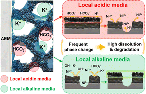 Graphical abstract: Unveiling the anode reaction environment in a CO2 electrolyzer to provide a guideline for anode development