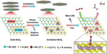 Graphical abstract: Sulphur vacancy driven phase conversion of MoS2 nanosheets for efficient photoreduction of CO2 under visible light