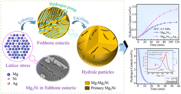 Graphical abstract: Dual tuning of the de-/hydrogenation thermodynamics and kinetics of the Mg–Ni alloy by introducing the Ag–H bond: enhanced hydrogen storage properties at moderate temperatures