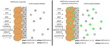 Graphical abstract: Study of the effect of uranium recovery at Hap/Fe2O3 composite and Fe2O3 interfaces on the parameters of the electrical double layer