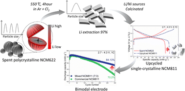 Graphical abstract: Upcycling spent cathodes into single-crystalline Ni-rich cathode materials through selective lithium extraction