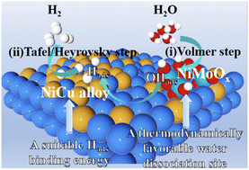 Graphical abstract: Multisite synergistic-modulating elementary steps for efficient alkaline hydrogen evolution via NiCu/NiMoOx nanocomposites