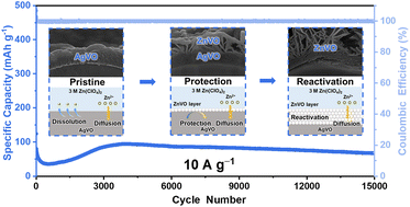 Graphical abstract: Unveiling the reaction mechanism of capacity reactivation in silver vanadate cathodes for aqueous zinc-ion batteries