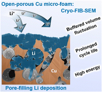 Graphical abstract: Elucidating the lithium deposition behavior in open-porous copper micro-foam negative electrodes for zero-excess lithium metal batteries