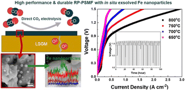 Graphical abstract: High-performance Ruddlesden–Popper perovskite oxide with in situ exsolved nanoparticles for direct CO2 electrolysis