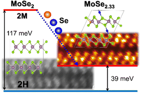 Graphical abstract: Stacking polytypes of 1T′ phase Se-rich transition metal diselenide and their electrocatalytic activity in the hydrogen evolution reaction