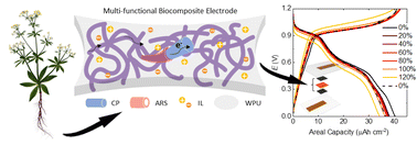 Graphical abstract: An intrinsically stretchable symmetric organic battery based on plant-derived redox molecules