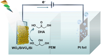 Graphical abstract: Enhanced photoelectrochemical oxidation of glycerol to dihydroxyacetone coupled with hydrogen generation via accelerative middle hydroxyl dehydrogenation over a Bi0/Bi3+ interface of a cascade heterostructure