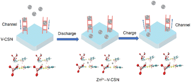 Graphical abstract: A novel vanadium coordination supramolecular network with multiple active sites for ultra-durable aqueous zinc metal batteries