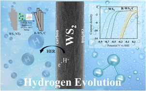 Graphical abstract: 1D transition-metal dichalcogenides/carbon core–shell composites for the hydrogen evolution reaction