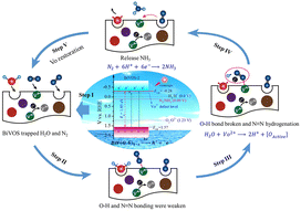 Graphical abstract: Material design for converting an oxidative-type BiVO4 catalyst into a reductive BiV(S,O)4−x sulfo-oxide catalyst for nitrogen photoreduction to ammonia