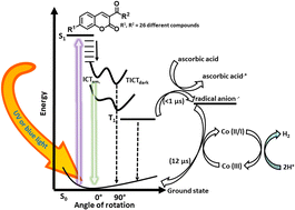 Graphical abstract: Unlocking the potential of ketocoumarins: efficient photosensitizers for sustainable light driven hydrogen evolution