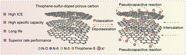 Graphical abstract: Thiophene-sulfur doping in nitrogen-rich porous carbon enabling high-ICE/rate anode materials for potassium-ion storage