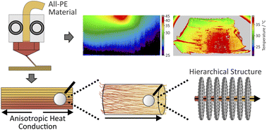 Graphical abstract: High and tuneable anisotropic thermal conductivity controls the temperature distribution of 3D printed all-polyethylene objects