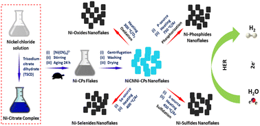 Graphical abstract: Two-dimensional nickel cyano-bridged coordination polymer thermally derived potent electrocatalysts for alkaline hydrogen evolution reaction