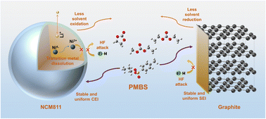Graphical abstract: A functional electrolyte containing propyl 4-methylbenzene sulfonate (PMBS) additive to improve the cycling performance of the LiNi0.8Co0.1Mn0.1O2/graphite full cell under the low temperature of −10 °C