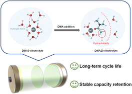 Graphical abstract: Regulating the solvation structure with N,N-dimethylacetamide co-solvent for high-performance zinc-ion batteries