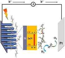 Graphical abstract: Core–shell InN/PM6 Z-scheme heterojunction photoanodes for efficient and stable photoelectrochemical water splitting