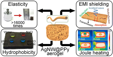 Graphical abstract: Superelastic, highly conductive, and superhydrophobic silver nanowires@polypyrrole hybrid aerogels with outstanding electromagnetic interference shielding and Joule heating performance
