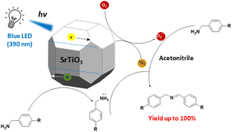 Graphical abstract: Photocatalytic oxidative amine coupling using polyhedral SrTiO3 crystals