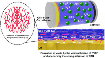 Graphical abstract: Synergy of strong/weak interface adhesion forces and Li2S additive enabling high performance full anode-free lithium–metal batteries