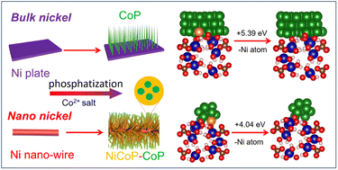 Graphical abstract: Nanosurface-induced construction of NiCoP–CoP heterostructure nanobristle electrodes for highly efficient alkaline hydrogen evolution reaction