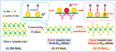 Graphical abstract: Discharging antibonding orbital electrons of 1T-MoS2 by S-rich treatment for promoting photocatalytic H2 evolution