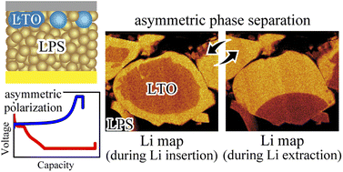 Graphical abstract: Visualizing asymmetric phase separation driven by surface ionic diffusion in lithium titanate